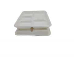 Factory supply disposable compostable bagasse tray for restaurant