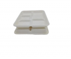 Plateau de bagasse compostable jetable d'approvisionnement d'usine pour le restaurant