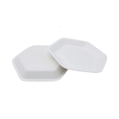 Modern style disposable sugarcane bagasse cake plate for children birthday