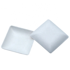 Eco Biodegradable Disposable Compostable Square Bagasse Plate