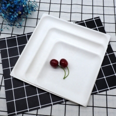Weiße Einwegplatte Biologisch abbaubare Zuckerrohrbrei-Platten für Früchte