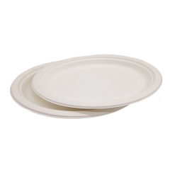 Wholesale 100% biodegradable Plate Sugarcane Pulp Oval Disposable Bagasse Plate