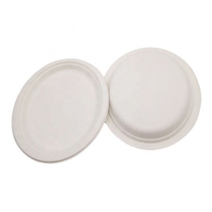 Eco Friendly Disposable Oval Sugarcane Plates For Food