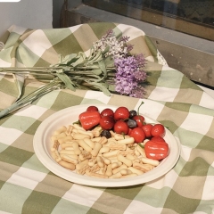 Vente chaude 100% vaisselle biodégradable assiette jetable de canne à sucre