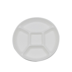 Nouveauté 5 compartiments assiettes jetables en bagasse de canne à sucre blanche