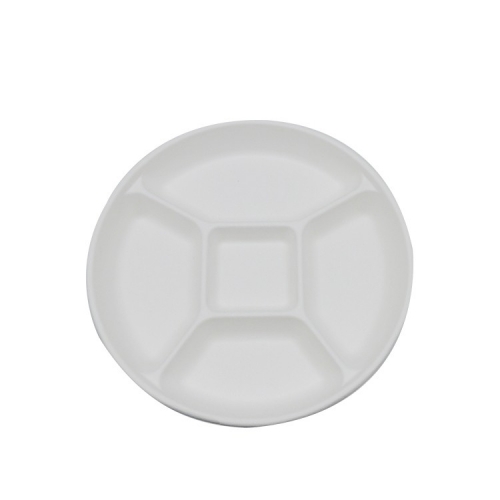 New arrival 5 compartment disposable sugarcane bagasse white plates