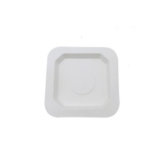 Disposable Microwavable Plates Biodegradable Sugercane Square Plate