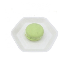 New Biodegradable Sugarcane Tableware Disposable Cake Plate