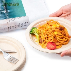 Unbleached Disposable Sugarcane Compostable Plates Pack For Party