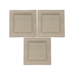 Popular Decomposable Square Sugarcane Bagasse Plate