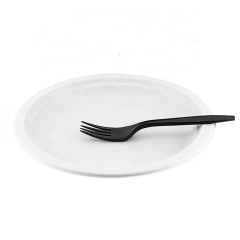 Assiette ovale de canne à sucre en bagasse naturelle jetable Eco