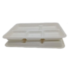 Plateau de viande compostable de canne à sucre de bagasse biodégradable jetable en gros