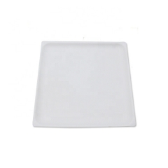 Disposable Sugarcane Bagasse Square Dinner Plates for Weddings