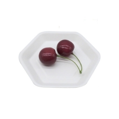 Factory direct plate biodegradable sugarcane fruit fast food plates