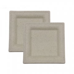 Eco Friendly Disposable Degradable 10inch Sugarcane Square Bagasse Plate