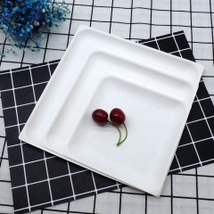 Disposable Square plate Biodegradable Sugarcane pulp Fruits Plates