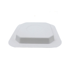 wholesale price sugarcane plate decomposable biodegradable bagasse plates