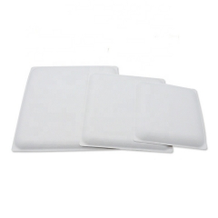 Popular Compostable Square Sugarcane Bagasse Plate