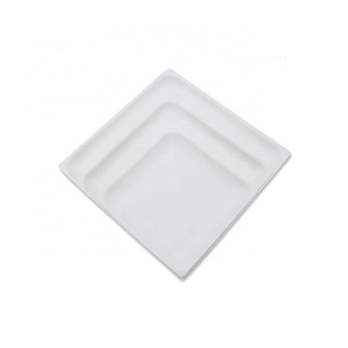 Disposable Sugarcane Bagasse Square Dinner Plates for Weddings