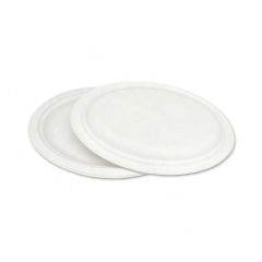 Disposable Biodegradable Sugarcane Pulp Plates