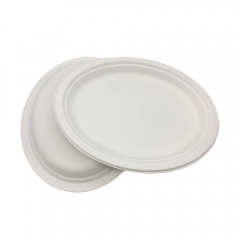 Promotional top quality disposable biodegradable sugarcane plates