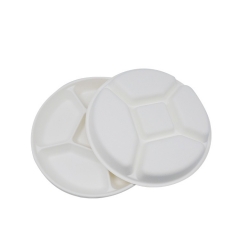 New arrival 5 compartment disposable sugarcane bagasse white plates