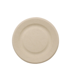 Disposable Plate Bagasse Biodegradable Sugarcane Embossed Plates