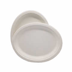 Disposable Tableware Biodegradable sugarcane bagasse oval disposable plates for party