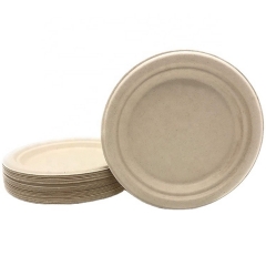 Eco Friendly 9 Inch Bagasse Sugarcane Disposable Plates Eco Friendly