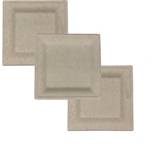 Hot Sale 8 pouces plaques jetables de canne à sucre biodégradable