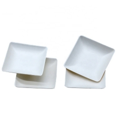 Eco Biodegradable Disposable Compostable Square Bagasse Plate