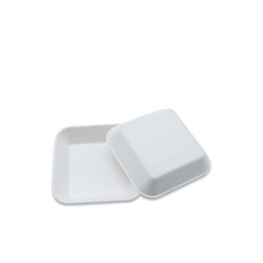 Placa biodegradable disponible de la caña de azúcar de la mini placa cuadrada del tamaño