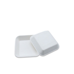 Mini Size Square Plate Disposable Biodegradable Sugarcane Plate