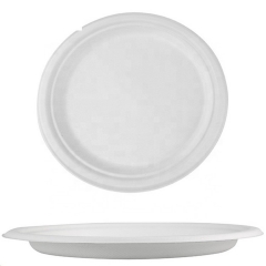 Hot Sale 7 Inch Biodegradable Sugar Cane Bagasse Plate For Food