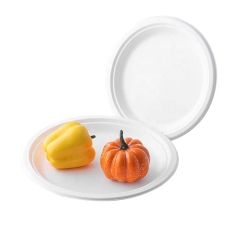 Eco friendly biodegradable sugarcane plates bagasse disposable paper plate