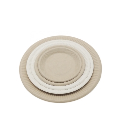 Assiette jetable Bagasse Biodégradable Assiettes en relief de canne à sucre