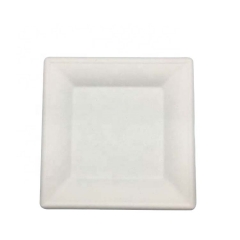 Assiette de nourriture jetable biodégradable biodégradable de canne à sucre de bagasse qui respecte l'environnement