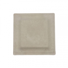 Eco Friendly Disposable Degradable 10inch Sugarcane Square Bagasse Plate