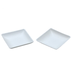 Square disposable biodegradable sugarcane food tray