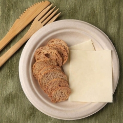 Nature 100 % kompostierbare Bagasse Einwegteller Zuckerrohrteller