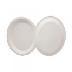 Oval Biodegradable Bagasse Sugarcane Plate For Food