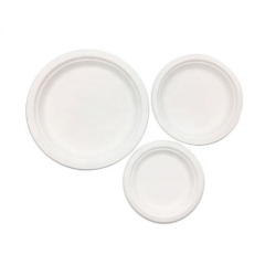 Disposable Plate Compostable Sugarcane Bagasse Round Plates For Party