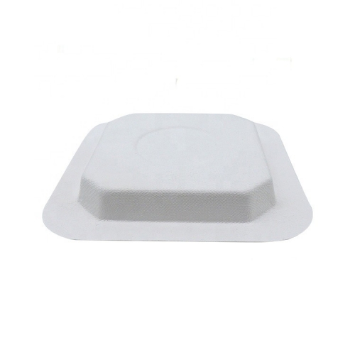 Disposable Microwavable Plates Biodegradable Sugercane Square Plate