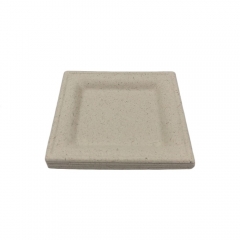 Assiette carrée de bagasse de canne à sucre compostable jetable directe d'usine