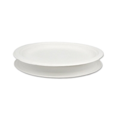 Disposable Party Plates Paper Sugarcane Bagasse Oval Paper Plates