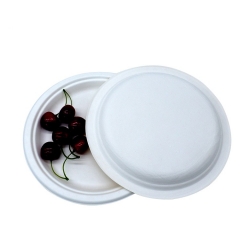 Disposable Tableware Biodegradable Compostable Sugarcane Bagasse Plate