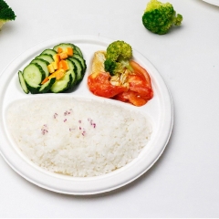 Wholesale Price 9 Inch Biodegradable 3 Compartment Sugarcane Bagasse Dinner Plate