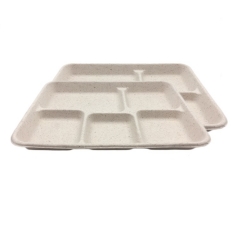 New design biodegradable disposable sugarcane pulp 5 part food tray for restaurant