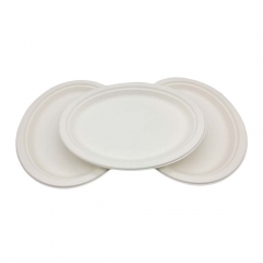 Promotional top quality disposable biodegradable sugarcane plates