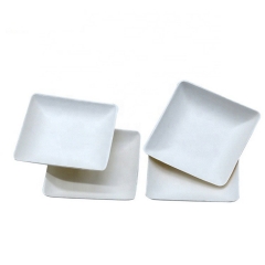 Disposable biodegradable sugarcane square tray